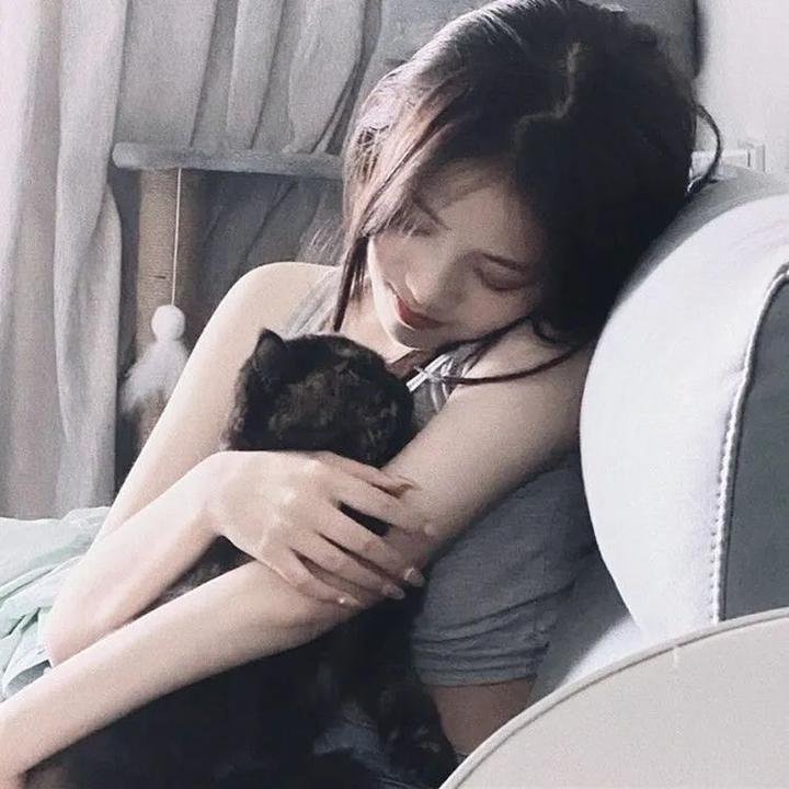 李卫当官3